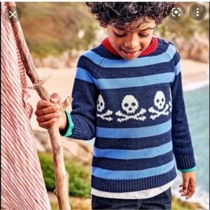 Mini Boden Skull Sweater